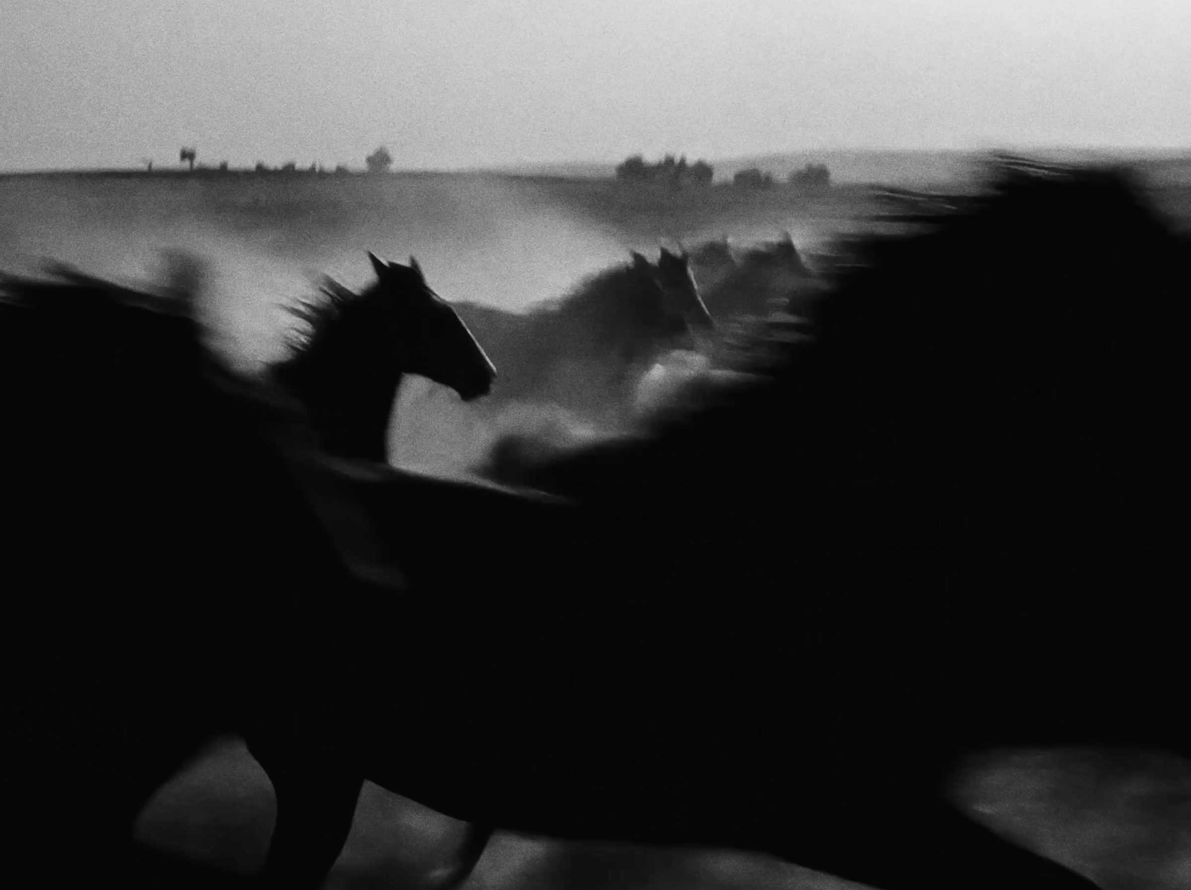 Horses running through dust.